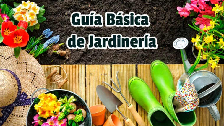 Guía Básica de Jardinería