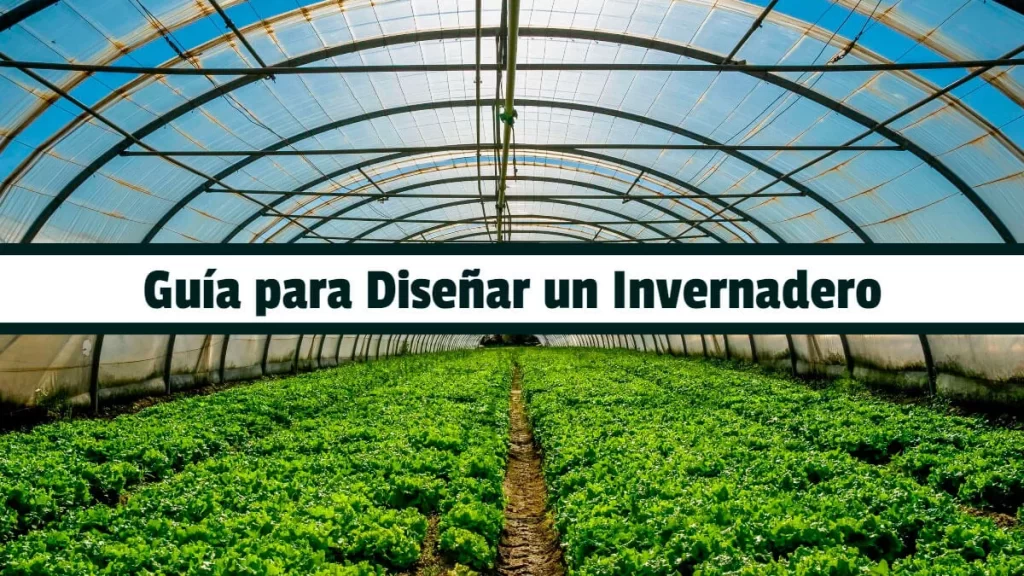 Guía para Diseñar un Invernadero