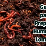 Guía para Preparar Humus de Lombriz