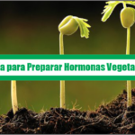 Guía para Preparar Hormonas Vegetales