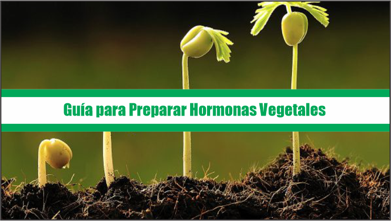 Guía para Preparar Hormonas Vegetales
