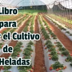 Libro para Cuidar el Cultivo de las Heladas