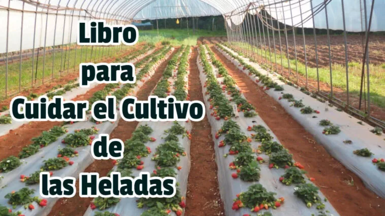 Libro para Cuidar el Cultivo de las Heladas