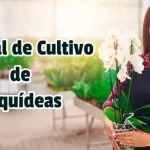 Manual de Cultivo de Orquídeas