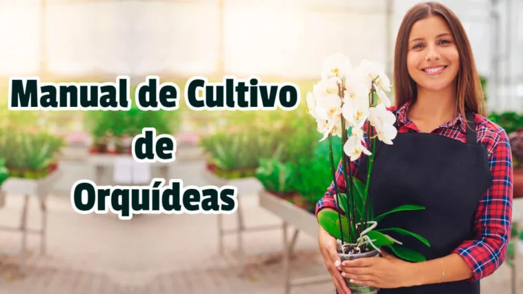 Manual de Cultivo de Orquídeas