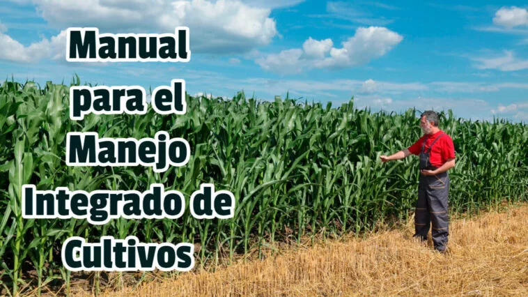 Manual para el Manejo Integrado de Cultivos