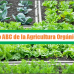 Libro ABC de la Agricultura Orgánica