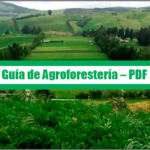 Guía de Agroforestería – PDF