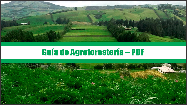 Guía de Agroforestería – PDF
