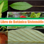 Libro de Botánica Sistemática