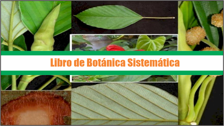 Libro de Botánica Sistemática