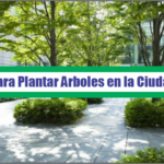 Guía para Plantar Arboles en la Ciudad – PDF
