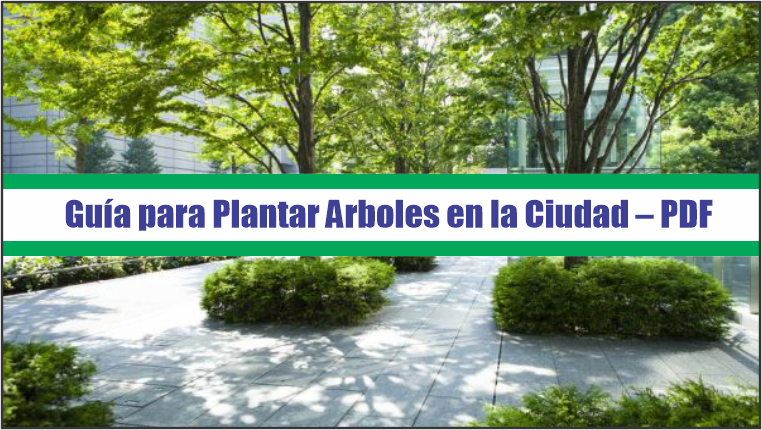 Guía para Plantar Arboles en la Ciudad – PDF