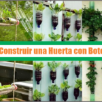 Guía para Construir una Huerta con Botellas – PDF