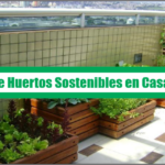 Guía de Huertos Sostenibles en Casa – PDF
