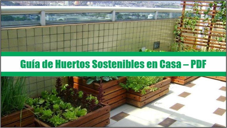 Guía de Huertos Sostenibles en Casa – PDF
