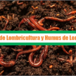Guía de Lombricultura y Humus de Lombriz