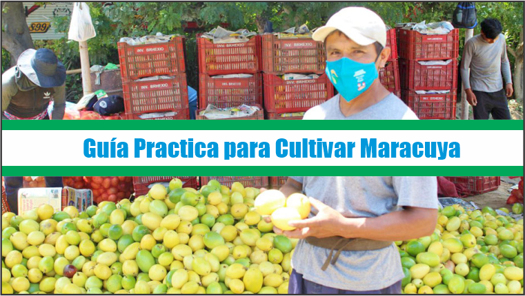 Guía Practica para Cultivar Maracuya