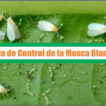 Guía de Control de la Mosca Blanca