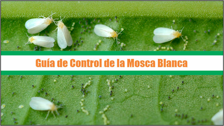 Guía de Control de la Mosca Blanca