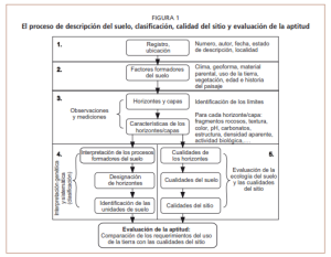 Guia para la descripcion de Suelos