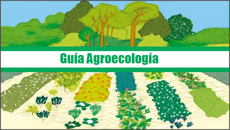 Guia de Agroecología