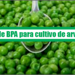 Guía de Buenas Prácticas Agrícolas para cultivo de arveja
