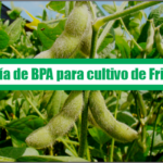 Guía de Buenas Prácticas Agrícolas para cultivo de frijol