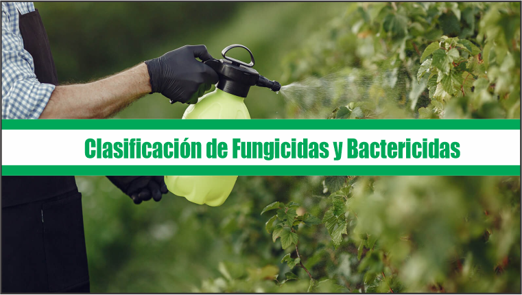 Clasificación de Fungicidas y Bactericidas