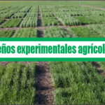 Diseños experimentales agrícolas