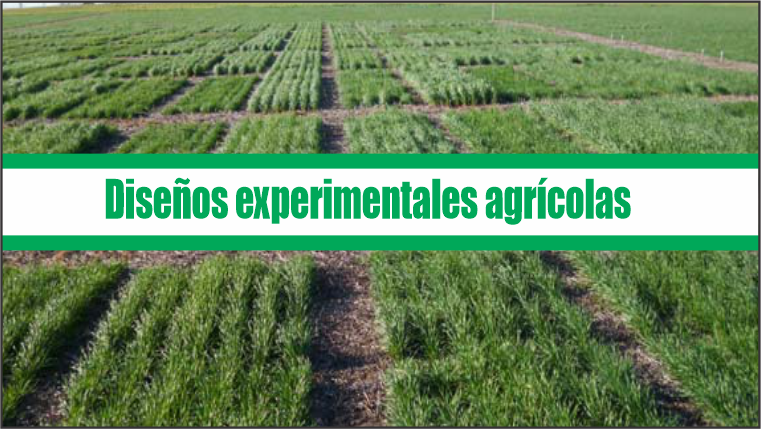Diseños experimentales agrícolas