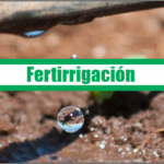 Fertirrigación