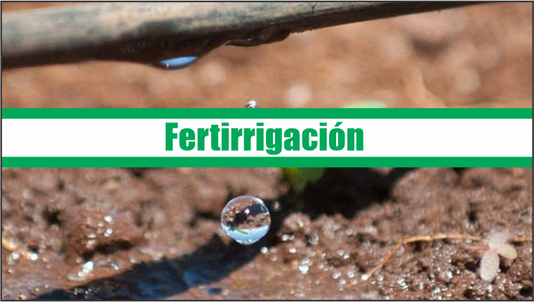 Fertirrigación