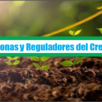 Fitohormonas y Reguladores del Crecimiento