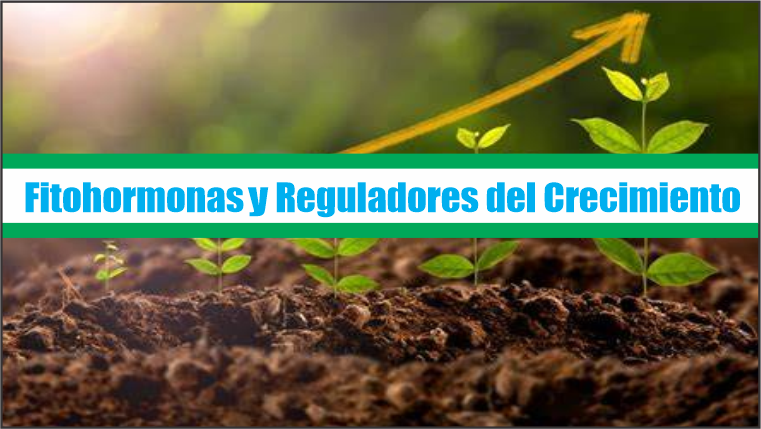 Fitohormonas y Reguladores del Crecimiento