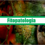 Libro agronomico de Fitopatología