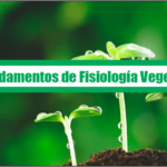 Fundamentos de Fisiologia Vegetal