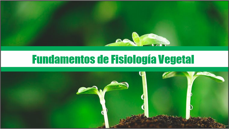 Fundamentos de Fisiologia Vegetal