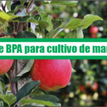 Guía de Buenas Prácticas Agrícolas para cultivo de manzana