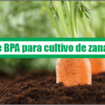 Guía de Buenas Prácticas Agrícolas para cultivo de zanahoria