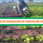 Diseño e Instalación de Sistemas de Riego Automático