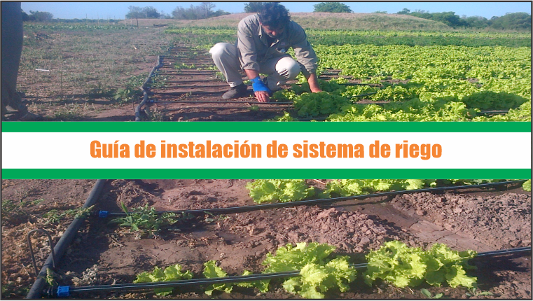 Diseño e Instalación de Sistemas de Riego Automático