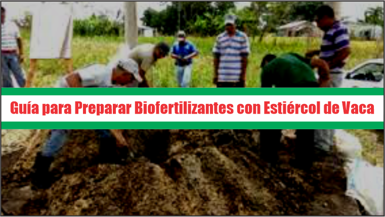 Guía para Preparar Biofertilizantes con Estiércol de Vaca