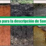 Guia para la descripcion de Suelos