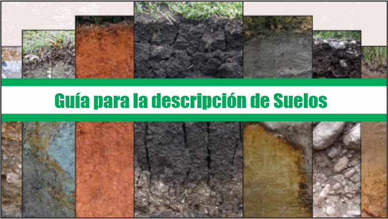 Guia para la descripcion de Suelos