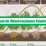 Manual de Observaciones Fenologicas