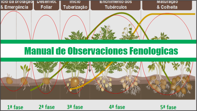 Manual de Observaciones Fenologicas