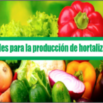 Manuales para la producción de hortalizas
