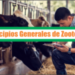 Principios Generales de Zootecnia