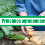 Principios agronómicos
